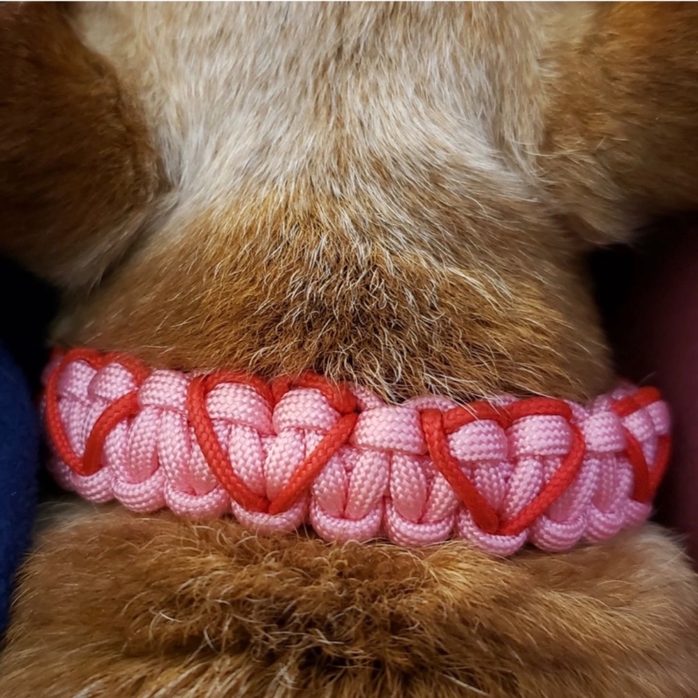 Handmade paracord heart collar